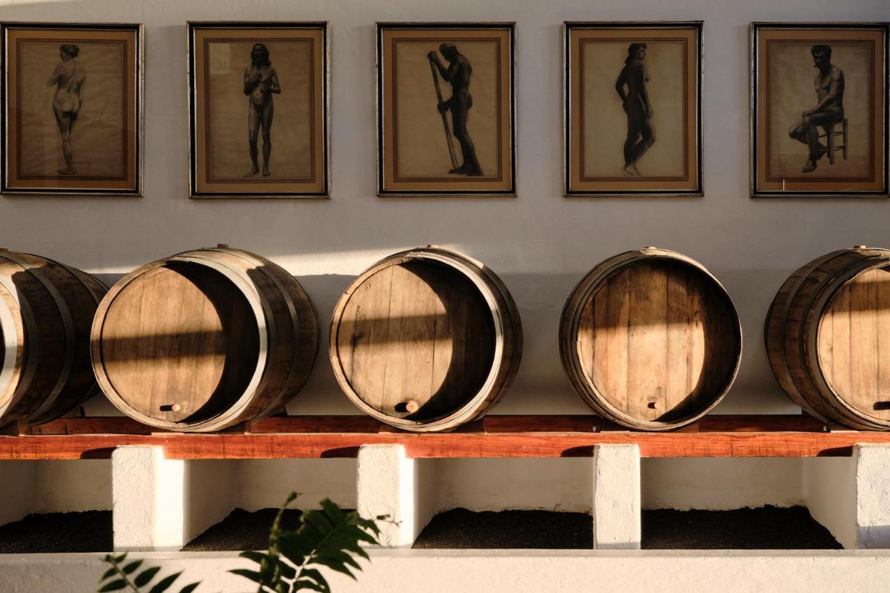 Ecofinca Aulaga Masdache Extérieur photo